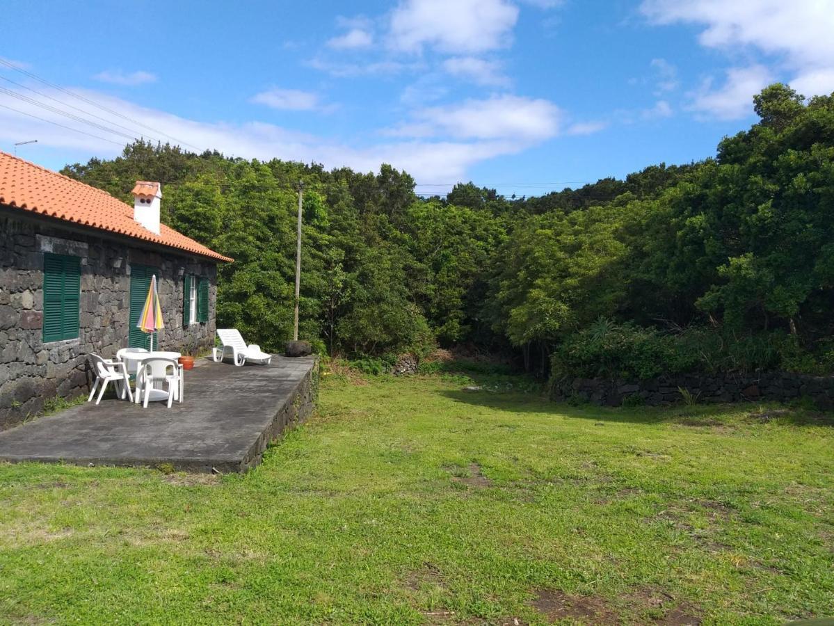 Azores Hibiscus House - Mountain And Sea Са́н-Ро́ке-ду-Пі́ку Екстер'єр фото